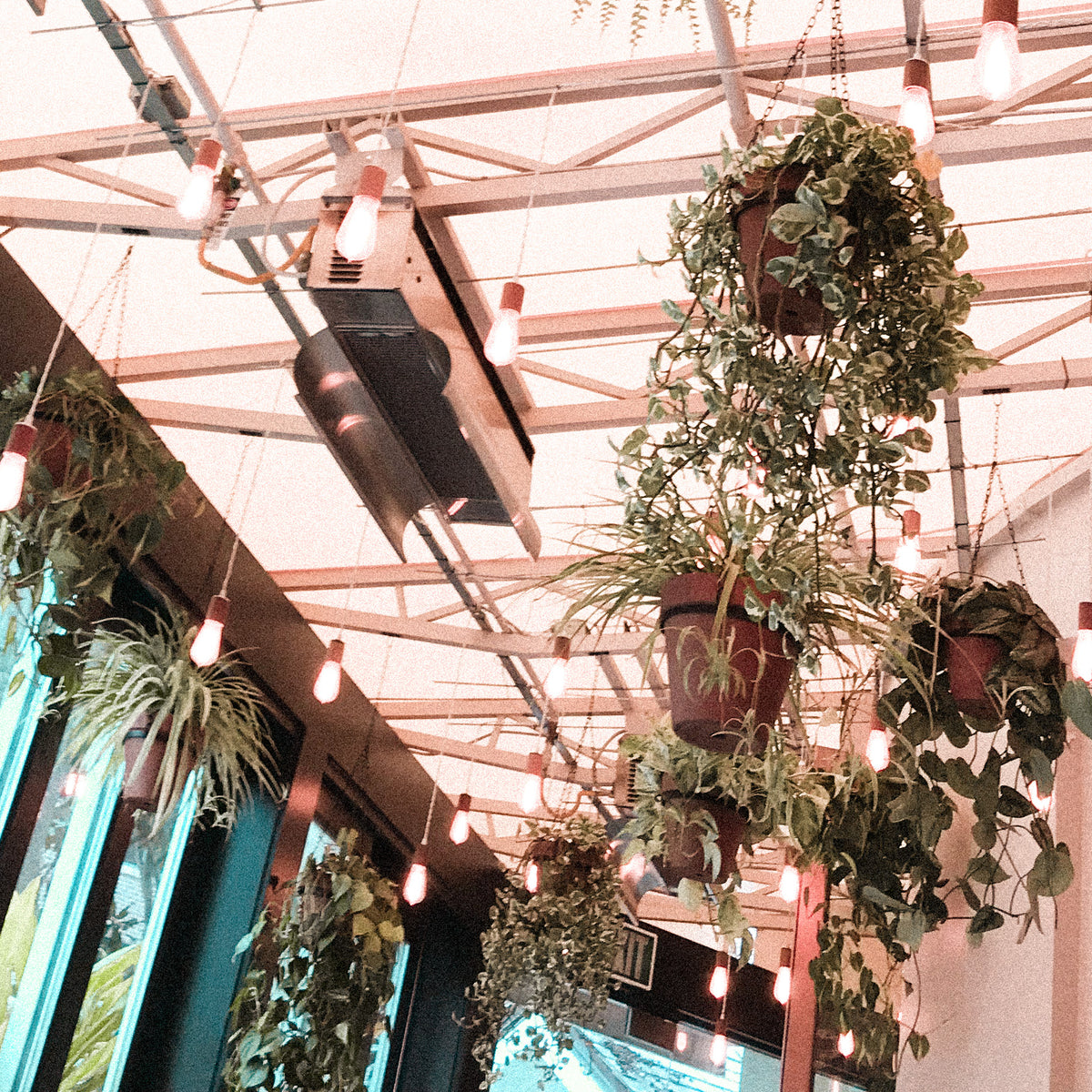 Cozy restaurants and cafes in Santa Monica